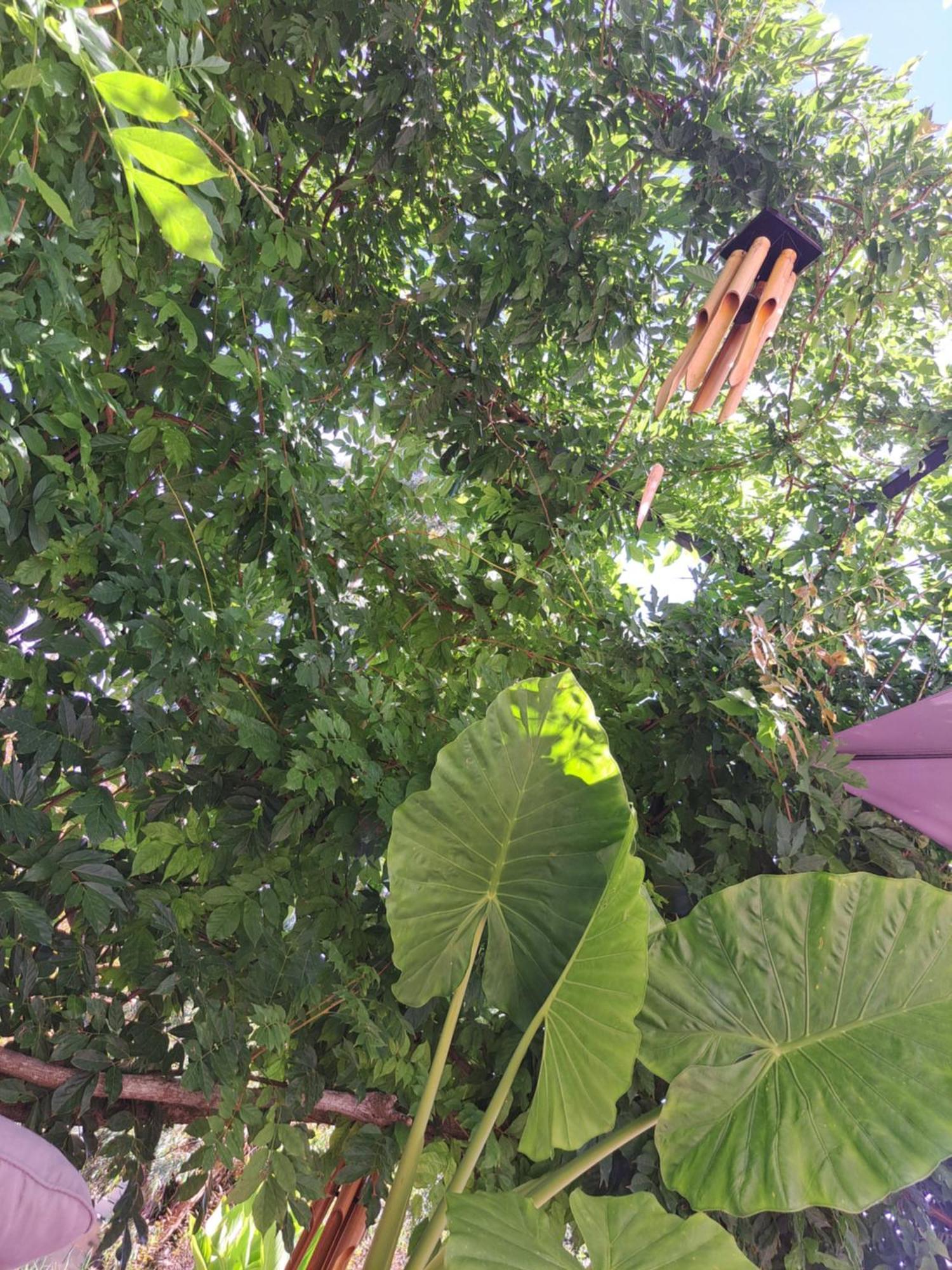 La Tropezienne Castera-Verduzan Ngoại thất bức ảnh