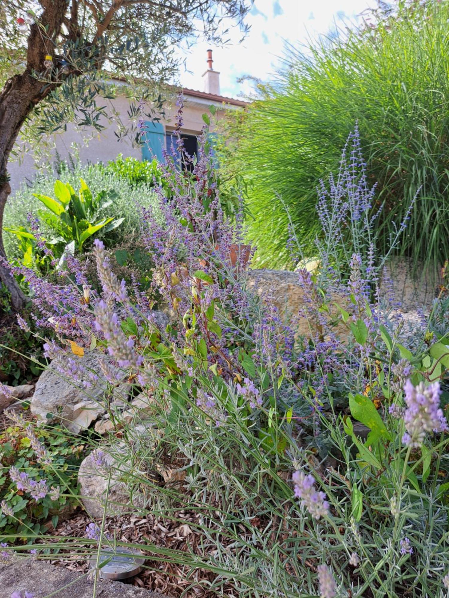 La Tropezienne Castera-Verduzan Ngoại thất bức ảnh